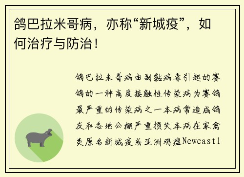 鸽巴拉米哥病，亦称“新城疫”，如何治疗与防治！